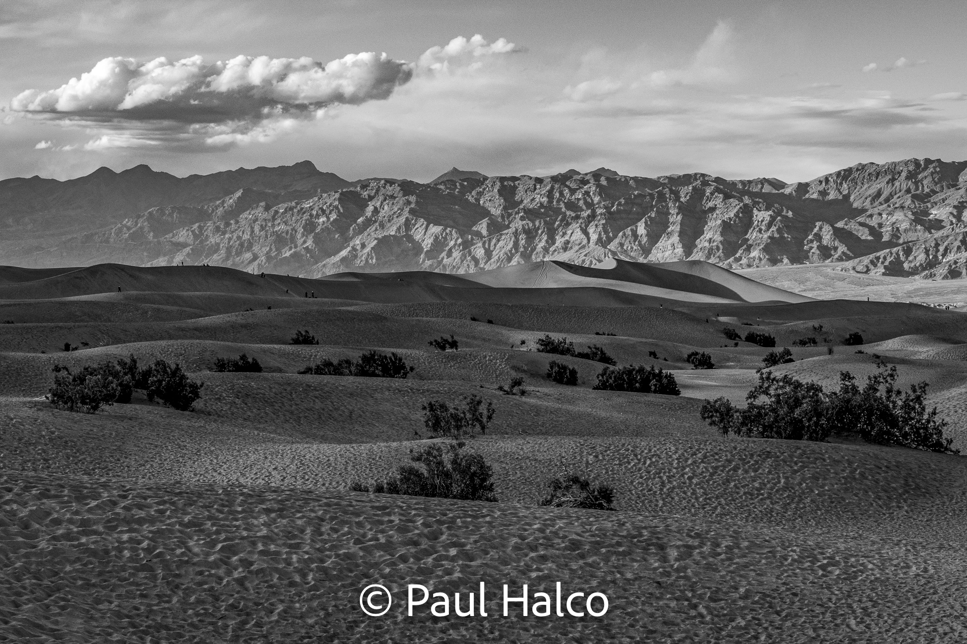 Paul Halco - Death Valley NP-2